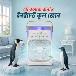 Ac fan